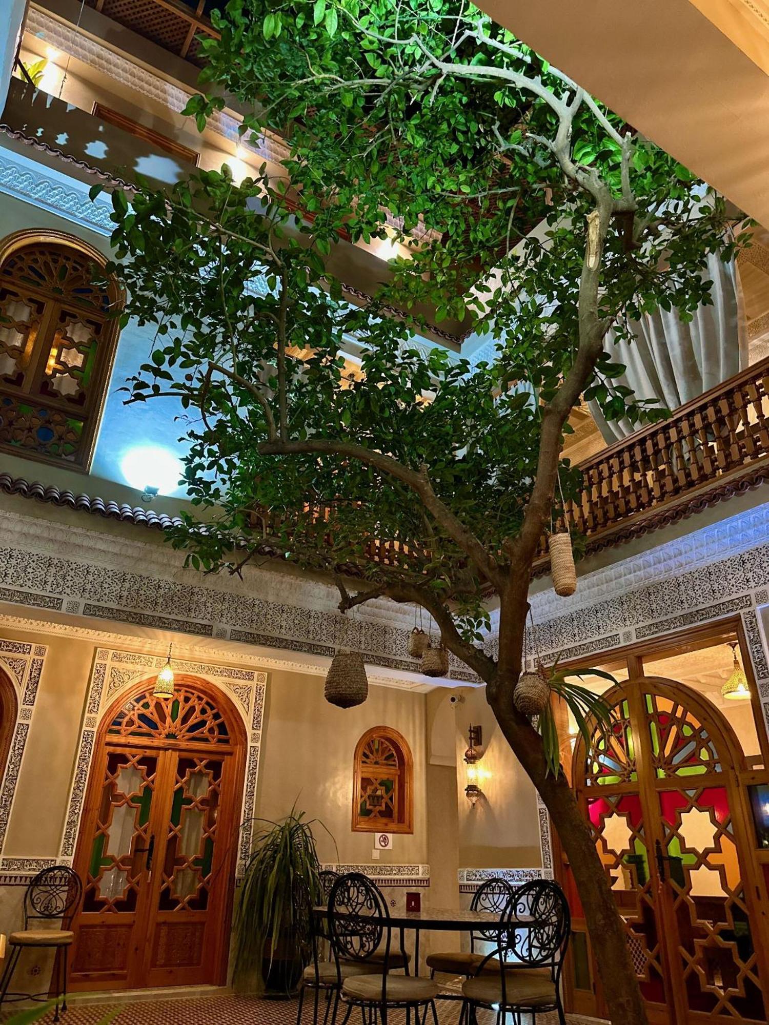 Riad Shajara マラケシュ エクステリア 写真